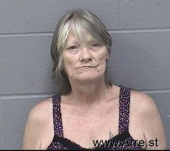 Pamela Ann Smith Mugshot