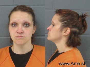 Patricia Ann Purcell Mugshot