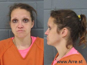 Patricia Ann Purcell Mugshot