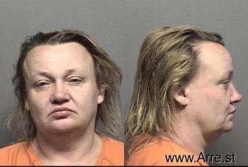 Paula Kay Schmidt Mugshot