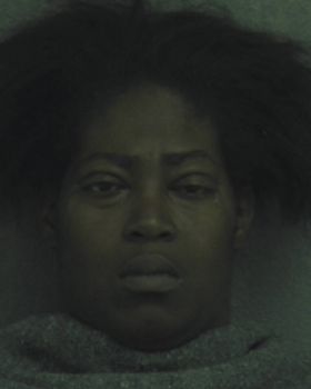 Rochelle  Lucas Mugshot