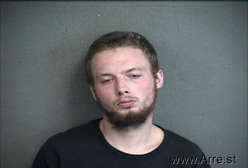 Ryan Delano Fries Mugshot