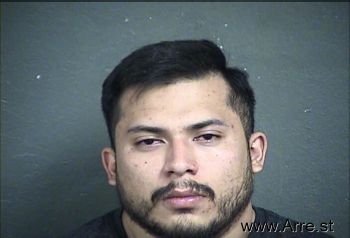 Raul  Mendoza-navarro Mugshot