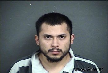 Raul  Mendoza-navarro Mugshot