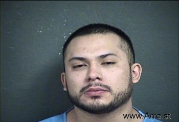 Raul  Mendoza-navarro Mugshot