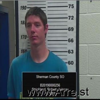 Robert  Strickland Mugshot