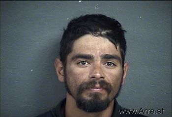 Rogelio  Alvarado-dominguez Mugshot