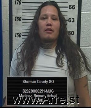 Roman Michael Martinez Mugshot