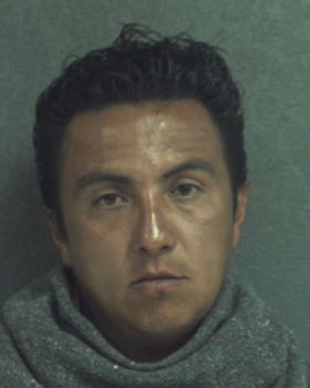 Santiago Adolfo Guzman-florez Mugshot