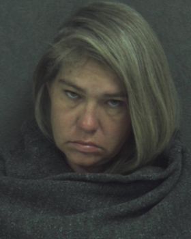 Sherri L Cavin Mugshot