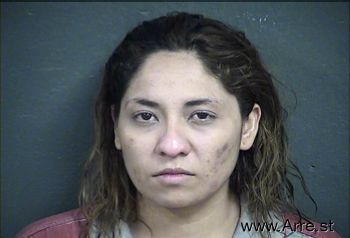 Sandra L Sanchez-quinonez Mugshot