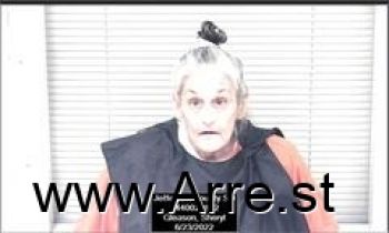 Sheryl  Gleason Mugshot