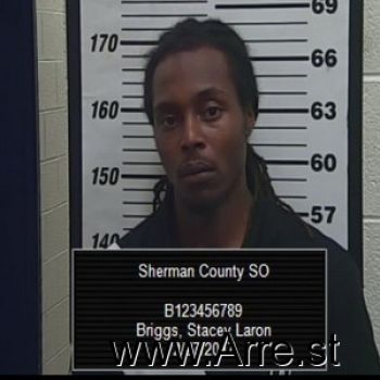 Stacey  Briggs Mugshot