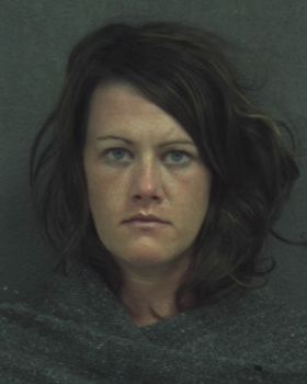 Traci D Froscheiser Mugshot