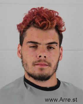 Tyler James Gibson Mugshot