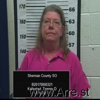 Tammy  Kallestad Mugshot