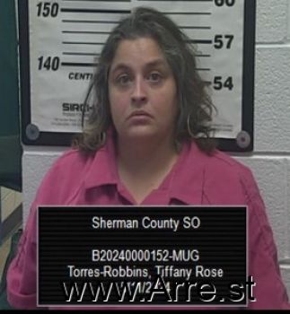 Tiffany Rose Torres-robbins Mugshot