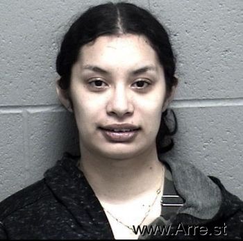 Vanessa  Medina Mugshot