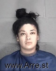 Amanda Perez Arrest Mugshot