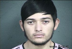 Auner Arita-jeronimo Arrest Mugshot