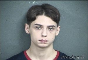 Austin Partnoy Arrest Mugshot