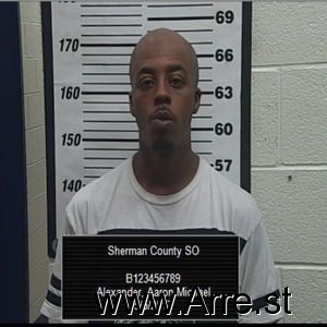 Aaron Alexander Arrest Mugshot