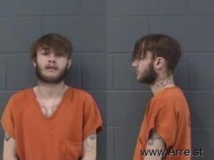 Alexander Larson Arrest