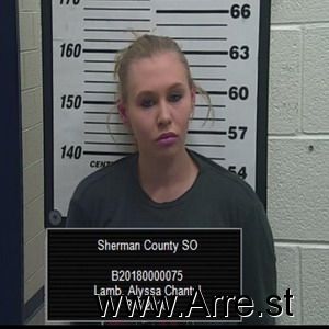 Alyssa Lamb Arrest Mugshot