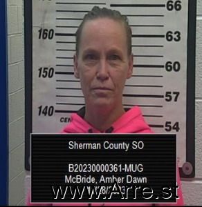 Amber Mcbride Arrest Mugshot