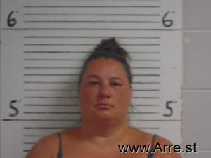 Amy Provo Arrest Mugshot