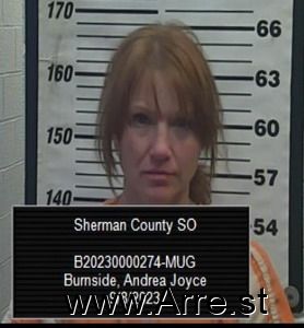 Andrea Burnside Arrest Mugshot