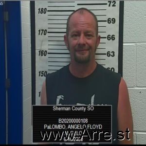 Angelo Palombo Arrest