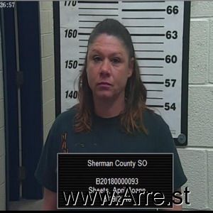 April Sheets Arrest Mugshot