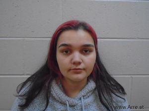 Ariana Seaman Arrest Mugshot