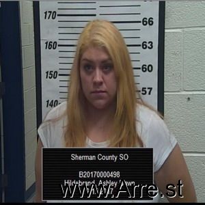 Ashley Hildebrand Arrest Mugshot
