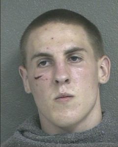 Brandon Gulley-stark Arrest