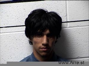 Brandon Montenegro Navarro Arrest Mugshot