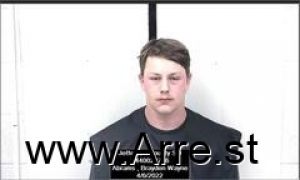 Brayden Abrams Arrest Mugshot