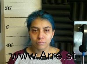 Bricia Perez Arrest Mugshot