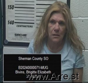 Brigitte Bivins Arrest Mugshot