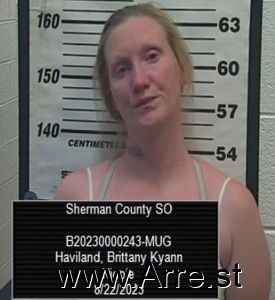 Brittany Haviland Arrest Mugshot