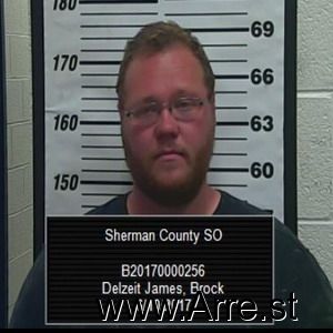 Brock Delzeit-james Arrest Mugshot