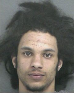 Christopher Williams Arrest Mugshot