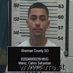 Carlos Marez Arrest Mugshot