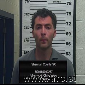 Christopher Mansoori Arrest Mugshot