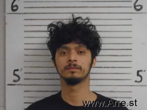 Cristian Gonzalez Arrest Mugshot