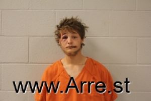 Dakota Towne Arrest Mugshot