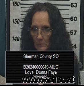 Donna Love Arrest Mugshot