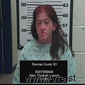 Elizabeth Miller Arrest Mugshot