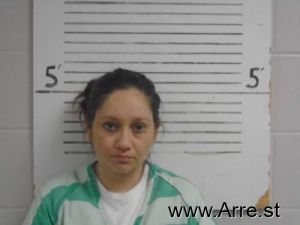 Felina Ibarra Arrest Mugshot